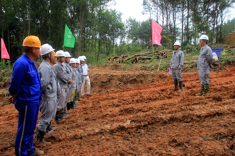 1562042022.jpg 2.JPG