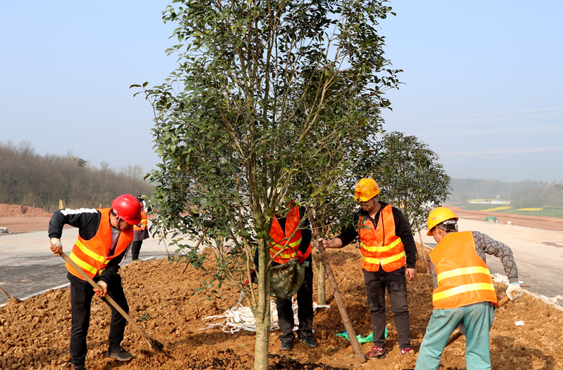 1615799315881860.png 圖片1.png