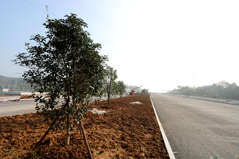 1615799323755953.png 圖片2.png