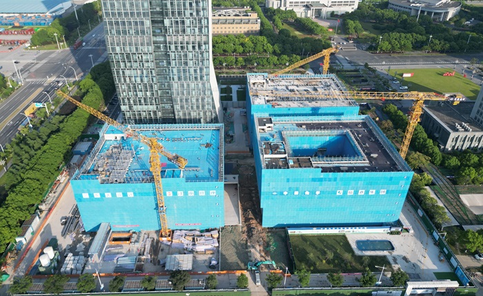 1733277241433732.jpg 8.jpg